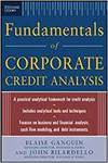 FUNDAMENTALS OF CORPORATE CREDIT ANALYSIS