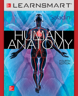 LEARNSMART 180 DAYS ONLINE ACCESS TO ACCOMPANY SALADIN HUMAN ANATOMY 4E