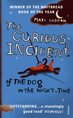 The curious incident of the dog in the night time