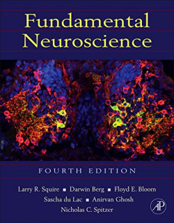 FUNDAMENTAL NEUROSCIENCE. 4ª ED. [HARDCOVER]