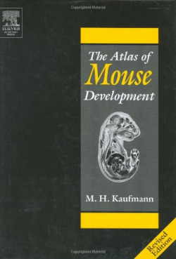 The atlas of mouse development