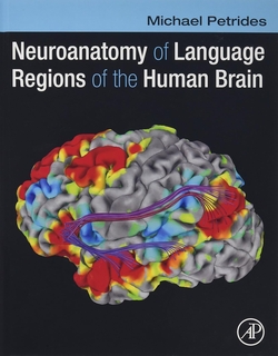 NEUROANATOMY OF LANGUAGE REGIONS OF HUMAN BRAIN