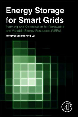 ENERGY STORAGE FOR SMART GRIDS