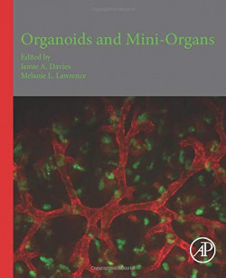 Organs and Organoids