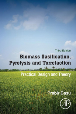 BIOMASS GASIFICATION,PYROLISIS AND TORREFACTION 3RD.EDITION