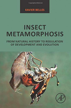 Insect metamorphosis