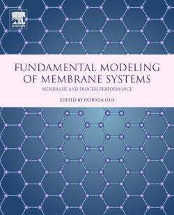 Fundamental modeling of membrane systens