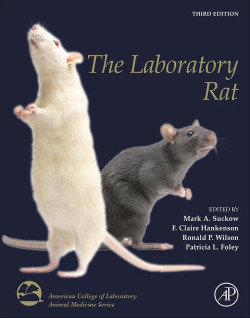 THE LABORATORY RAT