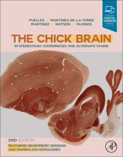 CHICK BRAIN STEREOTAXIC COORDINATES AND ALTERNATE STAINS