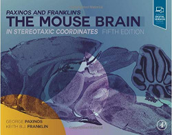 PAXINOS AND FRANKLIN'S MOUSE BRAIN STEROTAXIC COORDINATES
