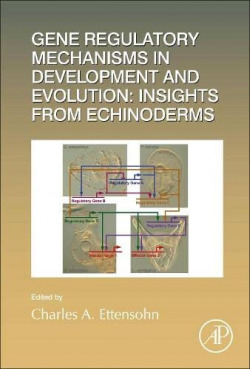 Gene regulatory mechanisms in development and evolution