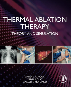 THERMAL ABLATION THERAPY