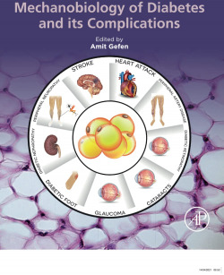 SCIENCE,ETIOLOGY MECHANOBIOLOGY DIABETES COMPLICATIONS