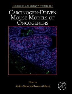 CARCINOGEN-DRIVEN MOUSE MODELS ONCOGENESIS VOL.163