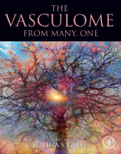 The vasculome:from many, one