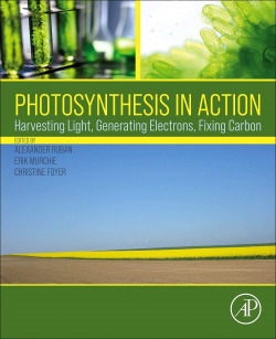 PHOTOSYNTHESIS IN ACTION