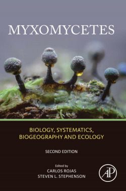 Myxomycetes