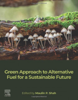 Green approach to alternative fuel for a sustainable future