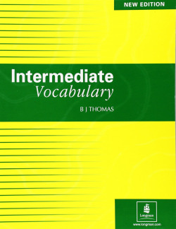 INTERMEDIATE VOCABULARY.