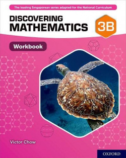 NEW DISCOVERING MATH 3B WORKBOOK SINGLE COPY