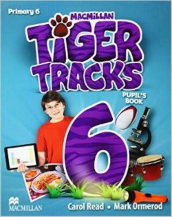 Tiger 6 pupil´s pack