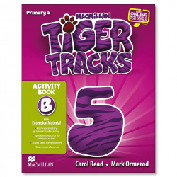 Tiger 5 *B* activity pack