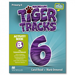 Tiger 6.*B* activity pack