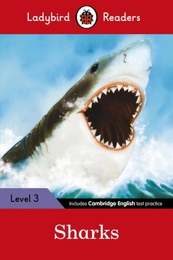 SHARKS