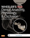 WHEELER'S DENTAL ANATOMY.(PHYSIOLOGY AND OCCLUSION.(10TH EDITION)
