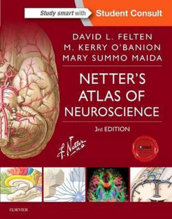 NETTER'S ATLAS OF NEUROSCIENCE.(3RD EDITION)