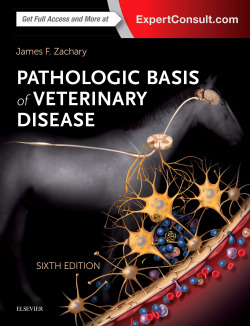 PATHOLOGIC BASIS OF VETERINARY DISEASE EXPERT CONSULT.(6TH EDITION)