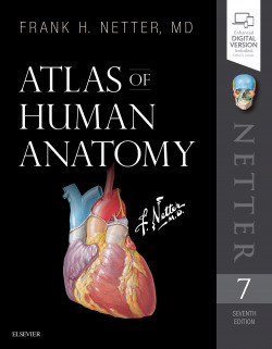 ATLAS OF HUMAN ANATOMY.(7TH EDITION)