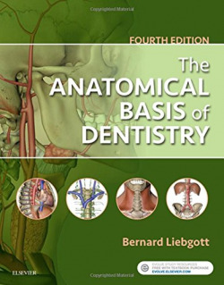 The Anatomical Basis of Dentistry