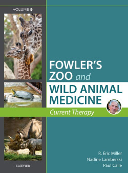 MILLER:FOWLER´S ZOO WILD ANIMAL MEDICINE CURRENT THERAPY