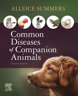 Common diseases of copanions animals