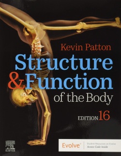STRUCTURE