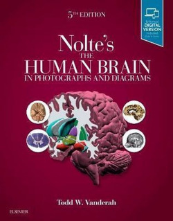 NOLTE´S THE HUMAN BRAIN IN PHOTOGRAPHS AND DIAGRAMS
