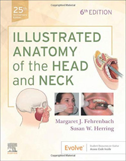 Illustrated anatomy of the head and neck