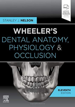WHEELER'S DENTAL ANATOMY, PHYSIOLOGY AND OCCLUISION