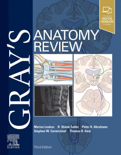 GRAY´S ANATOMY REVIEW