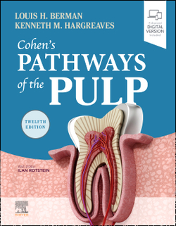 Cohen´s pathways of the pulp