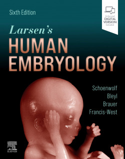 Larsen's human embryology