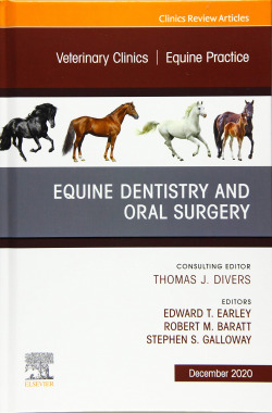 Veterinary clinics:equine practice