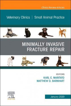 MINIMALLY INVASIVE FRACTURE REPAIR