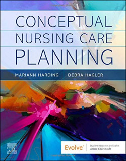 Conceptual nursing care planning