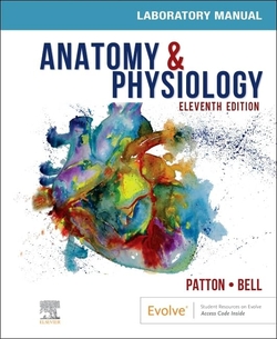 Anatomy