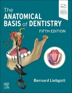 The anatomical basis of dentistry