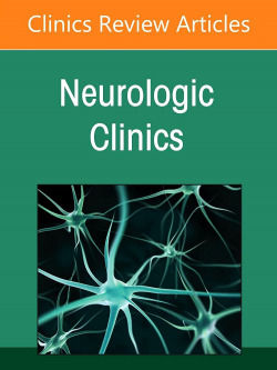 Epilepsy, an issue of neurologic clinics