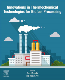 Innovations in thermochemical technologies for biofuel proc