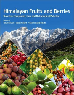 HIMALAYAN FRUITS AND BERRIES